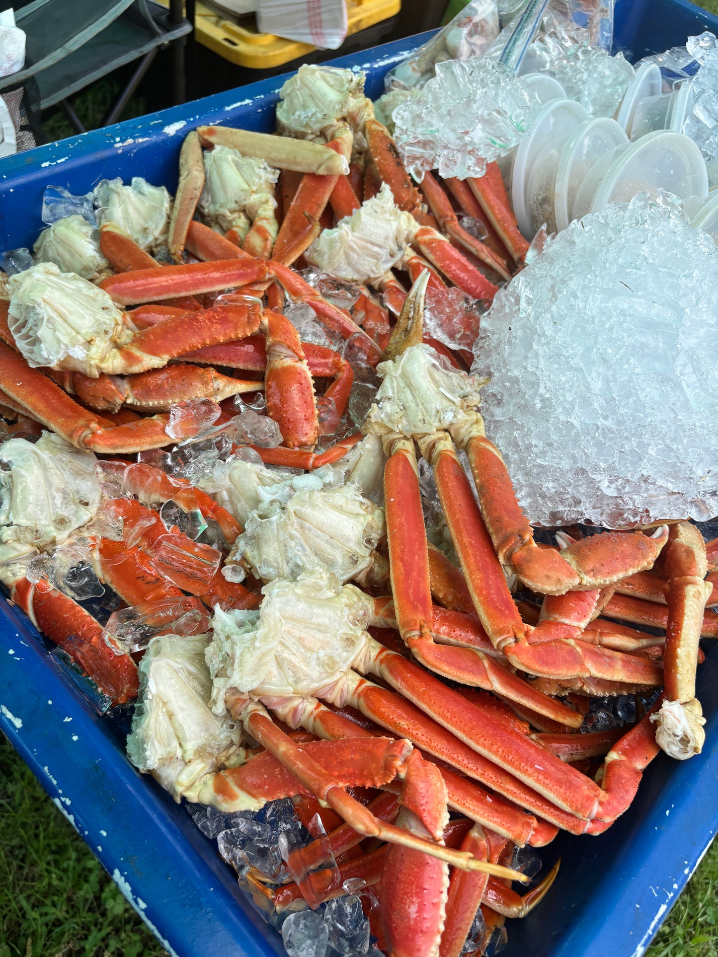 Snow Crabs - $22/LB